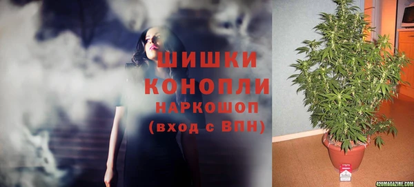 бошки Елизово