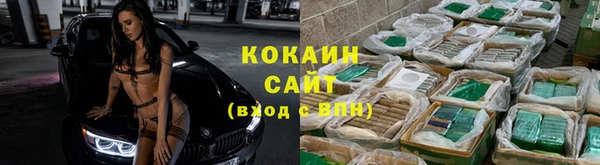трава Ельня