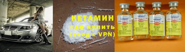 трава Ельня