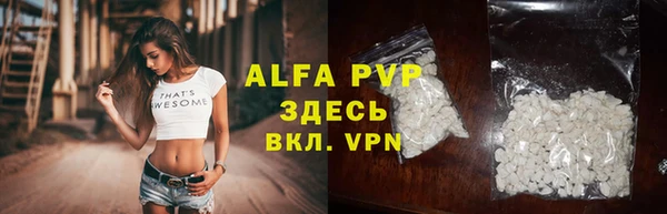 трава Ельня