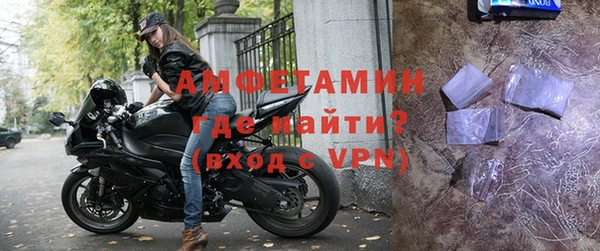 трава Ельня