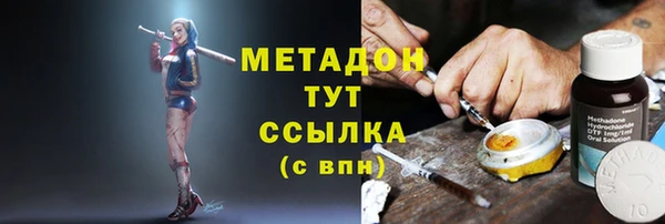 трава Ельня