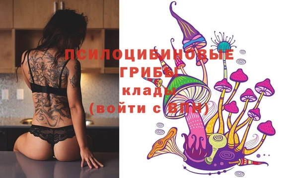 прущая мука Елабуга