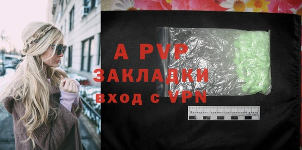 трава Ельня