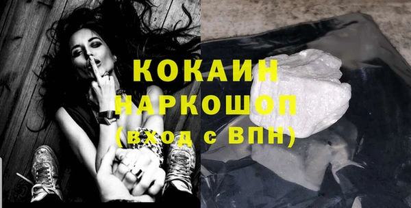 трава Ельня