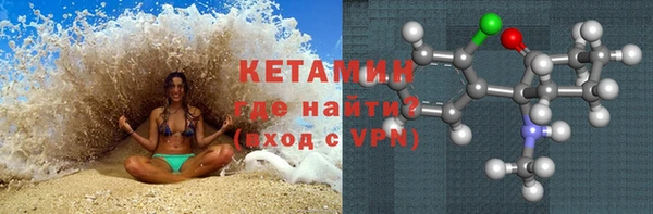 трава Ельня