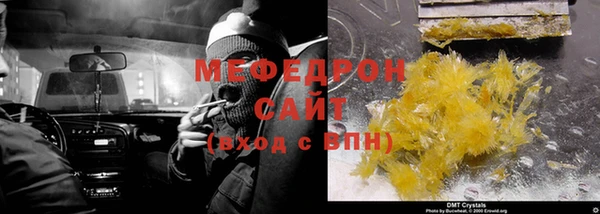 трава Ельня