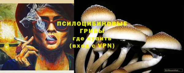 трава Ельня