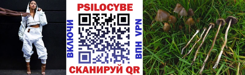 как найти закладки  Зуевка  Галлюциногенные грибы Magic Shrooms 